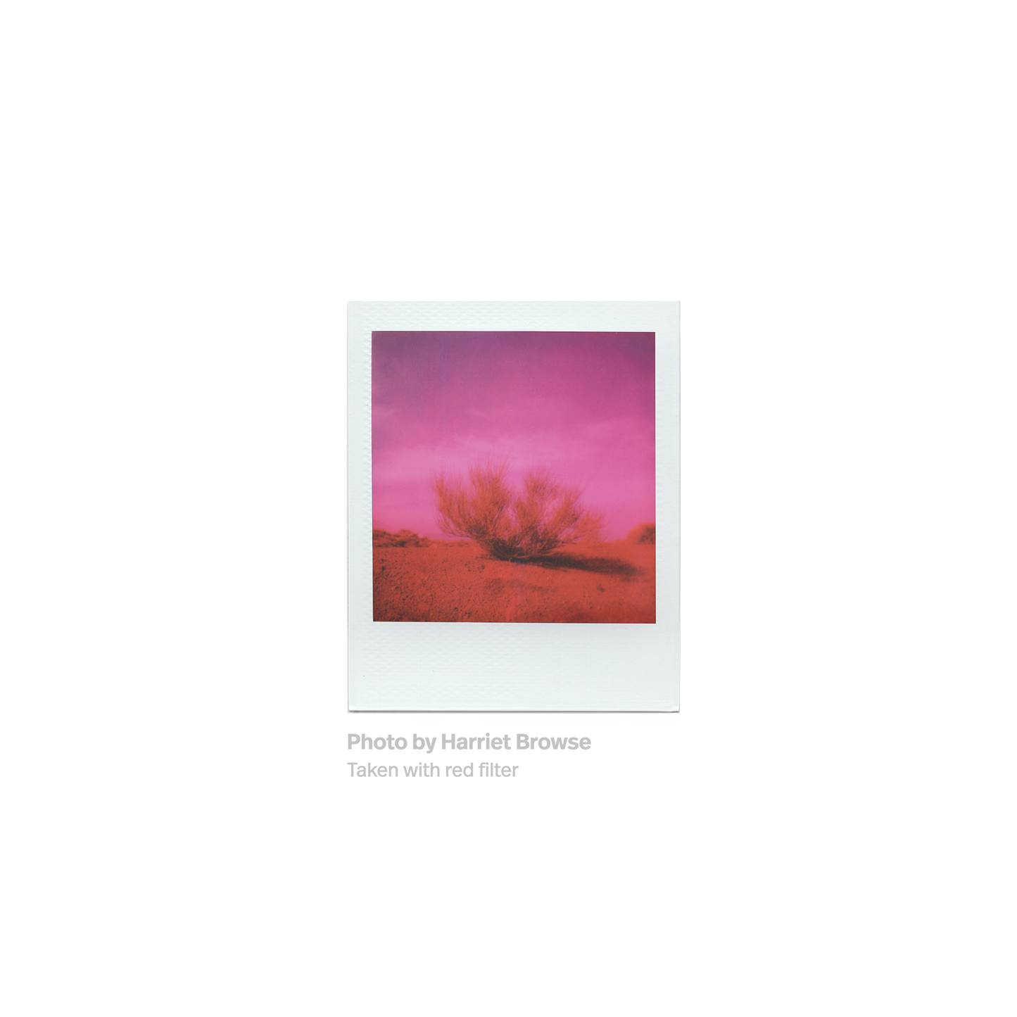Polaroid Go Instant Camera Color Filters Red Polaroid photo