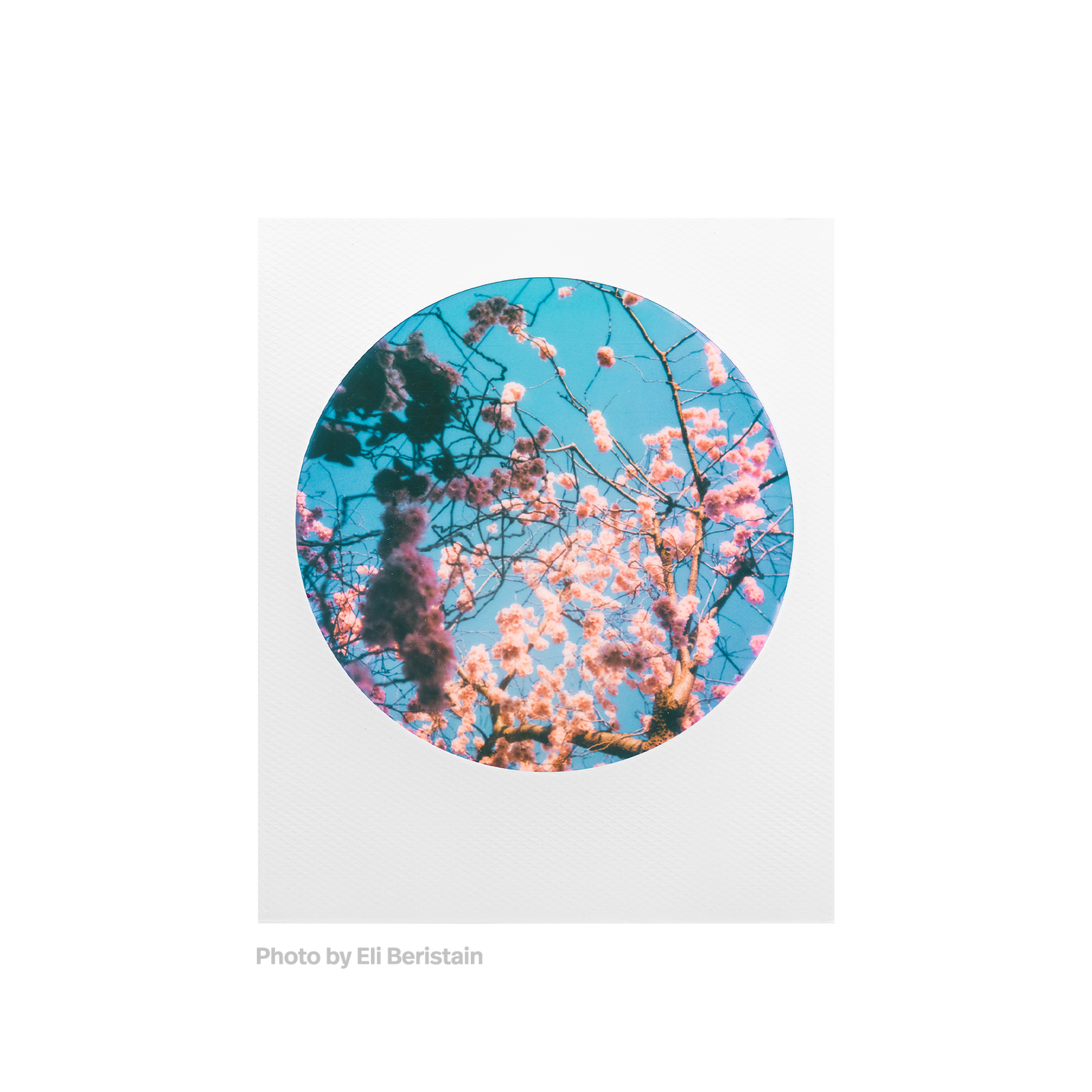Color 600 Round Frame Film