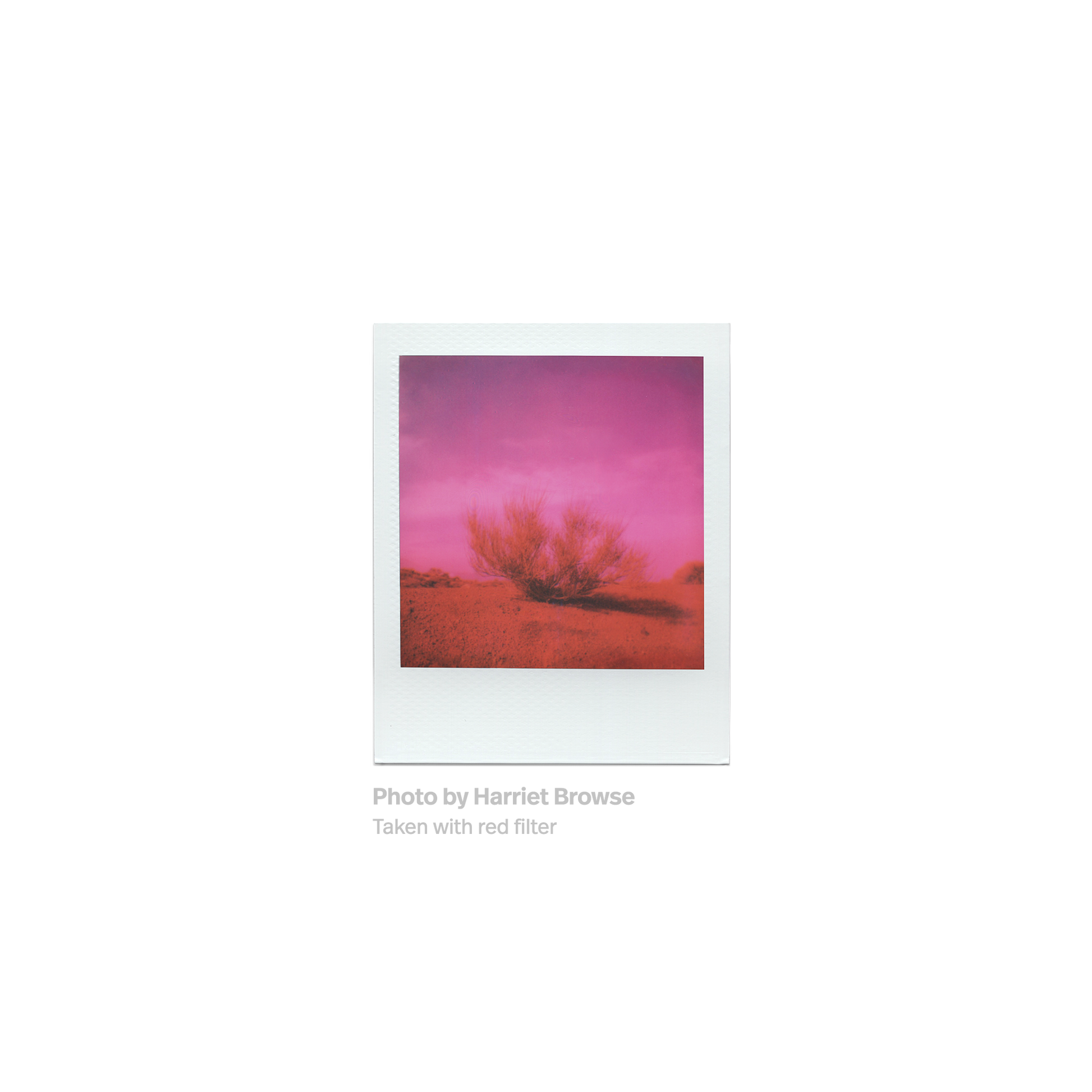 Polaroid Go Instant Camera Color Filters Red Polaroid photo