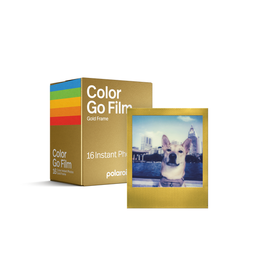 Polaroid Go Color Film Double Pack – Gold Frame